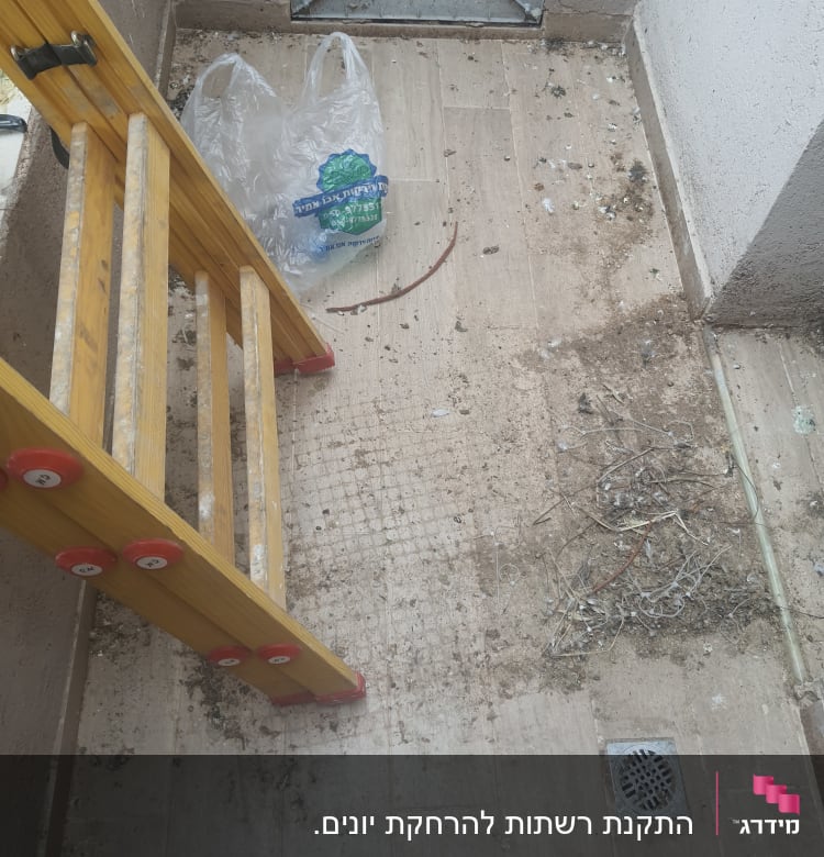 סולם עץ, שקית פלסטיק, לכלוך על הרצפה